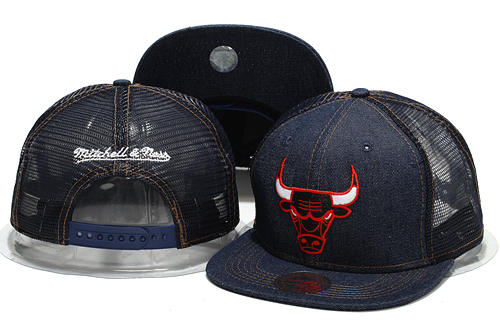 NBA Chicago Bulls MN Trucker Hat #01